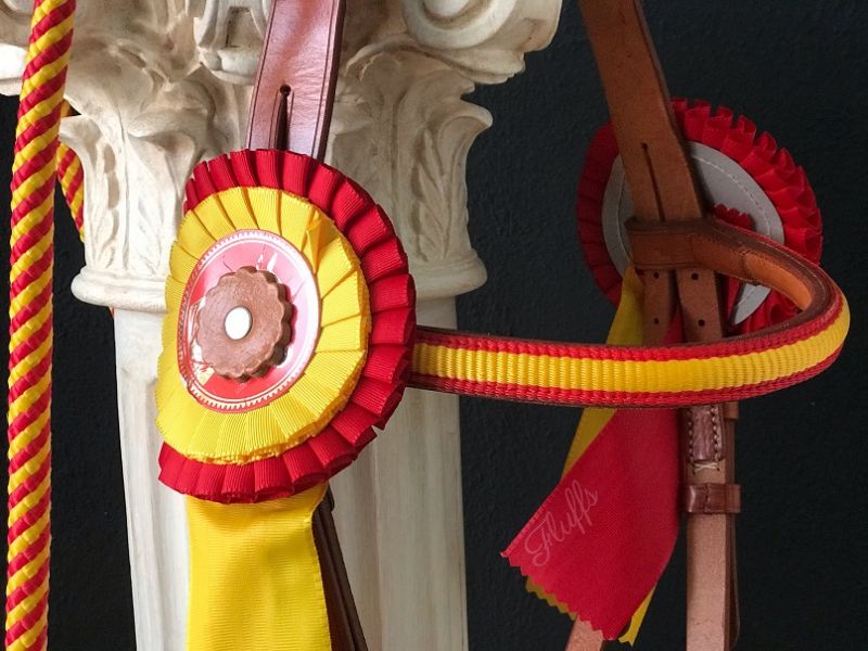 Presentation Padded Serreta. Spanish Flag